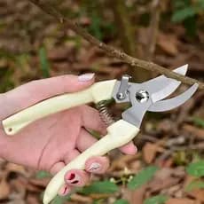 Tesoura De Poda Hagra Jardinagem Árvores Plantas Bonsai