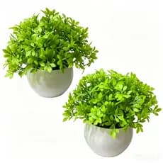 Kit com 2 Plantas Artificiais Mini Verdes em Vaso Branco 11cm - Decoração Realista para Casa e Escritório