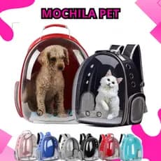 Mochila Pet Acrílico Para Cachorro Gato Cão Visão Panorâmica Várias Cores escolher