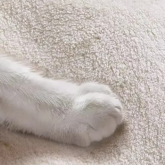 8. Grosso de pelúcia absorvente tapete do banheiro imitação Cashmere tapete toalete Anti-deslizamento tapete da porta do