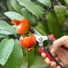 Tesoura Poda Super Afiada Jardinagem Profissional Tesoura De Precisão Poda De Ramos Plantas Flores