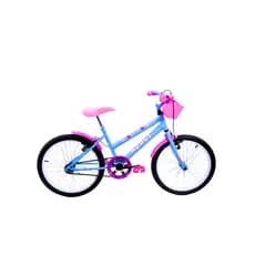 Bicicleta Infantil Aro 20 Feminina Doll Route Bike Sem Rodinha