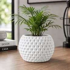 Vaso 3D Atlas Com Prato Coletor Recipiente Cachepot | Premium | Para Plantas Suculentas | Decoração Moderna