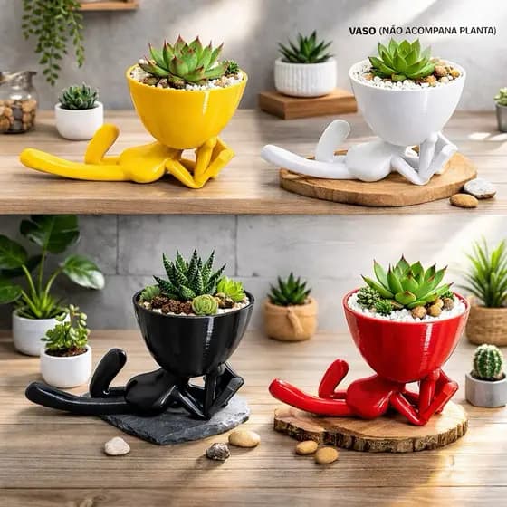 Vaso Para Suculentas e Decoração de Ambientes Bob Robert
