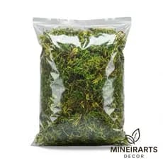 🌿 Musgo Natural Seco – Ideal para Decoração, Terrários, Vasos e Artesanato [Alta Qualidade]