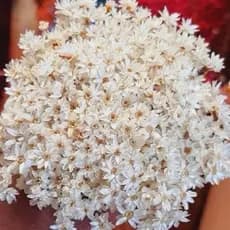 FLORES SEMPRE VIVAS/Jazidas Desidratadas, Buquê de Flores Secas, Sempre Vivas de Várias Cores