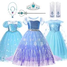 Meninas Elsa Princesa Vestido 6 Peças Conjunto Com Coroa Luvas Colar Ternos Crianças Neve Rainha Cosplay Traje
