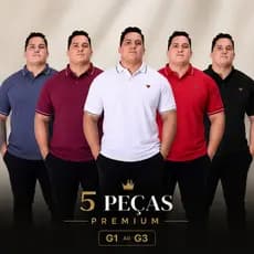 Kit 5 Camisetas Gola Polo Masculina Plus Size Camisa 100% Algodão Básica Casual
