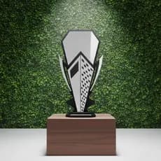 Troféu Campeonato feito em MDF e Acrílico Espelhado