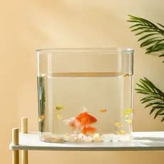 Conjunto de 3 Vasos Acrílico Retangular Arranjos de Flores Plantas Para Decoração Sala Casa