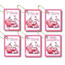 Kit 6 Tags Indicação de Troca Maternidade Menino/Menina Plástica com Correntinha (Somente TAG) Envio Imediato Promoção