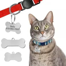 Placa de Identificação Pet Plaquinha Pingente personalizado Cachorro Cão Gato