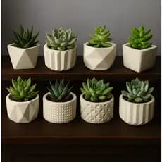 Kit Até 8 Unidades Vasinho Decorativo de Gesso Com Textura, Cactus e Plantas Artificiais.