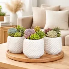 Trio de Vasos Decorativos de Gesso Texturizado Moderno Envio Full Mesa