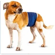 Protetor De Fralda Para Cão Macho