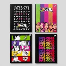 Caderno Brochura Costurado Dos Rosa com 5 capas sortidas 80fls e adesivos