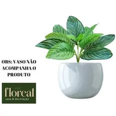 Plantas Artificiais Folhagem Calathea Planta Decorativa Arranjo Floral Decoração Festa Casamento
