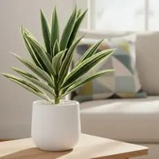 Planta Artificial Yucca 25cm Decoração Sala Jardim Planta Decorativa Sem Vaso