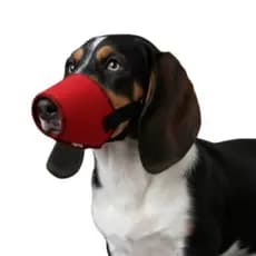 KIT 5pçs Focinheira Regulável de Nylon para Cães Pet Shop Banho Tosa Veterinário Groomer