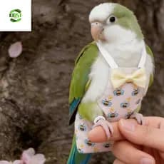 Fralda Para Pássaros KIDST , Papagaio De Estimação Com Padrão Animal De Desenho Animado Gravata Borboleta , Ternos Respi