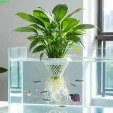 Cesta Flutuante De Plantio De Aquário KBOX , Decorativa Impressa Em 3D Para Plantas Hidropônicas , Vasos De Cultivo