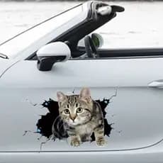 Adesivos De Gato 3D Para Carro  , Estilo Animal Em Adesivo De Rachadura , À Prova D'água
