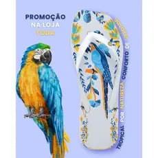 Chinelo Feminino Estampa Floral Conforto E Qualidade Promoção Na Loja Toda