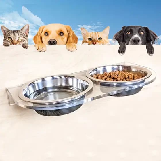 Comedouro Pet para Parede Elevado Acrílico Transparente Cão e Gato Bebedouro/Comedouro Vasilha Inox