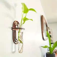 Suporte Vaso Hidropônico de Parede Tubo Vidro Prateleira MDF Decorativa Jardim Moderno Quarto Sala