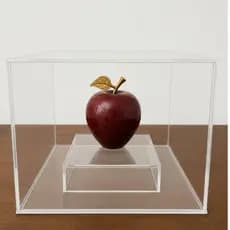 caixa de acrílico decorativa/caixa com frutas/maçã decorativa/pêra decorativa/uva decorativa/decoração cozinha