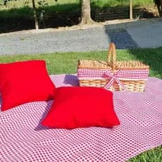 Kit  Cesta Piquenique C /Forro  Xadrez + 2 Almofadas + Toalha Xadrez