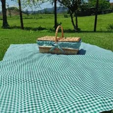 Kit Piquenique- Cesta de Vime Média 43x25x16cm com Forro e Toalha Xadrez Verde 1,50x1,20cm