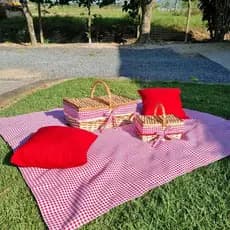 Kit Piquenique C/ Forro + Picnic Mini + 2 Almofadas + Toalha Xadrez Vermelho