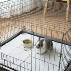 Tapete Higiênico Lavável p/ Gaiola de Coelho Impermeável Secagem Rápida Reutilizável Antiodor