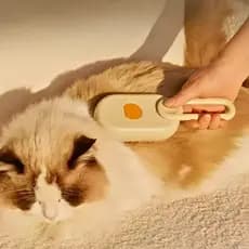 Escova A Vapor Para Pets 3 Em 1, escova para pelos de gatos e cachorros, escova a vapor para gatos e cachorros