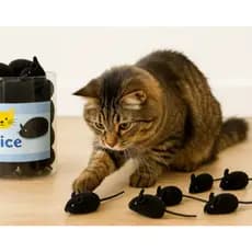 Ratos ratinhos para gato brincar brinquedo pet com som sonoro roedor 50 unidades