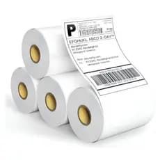 1 Rolo Etiqueta 10x15 100x150 Térmica Serrilha Zebra Elgin Cor Branco