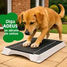 Caixa Lixa de Unha para Cachorros - Brinquedo Interativo Pet - Lixa Natural PetyCure para Unhas