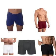Cueca Boxer Selene Microfibra Sem Costura