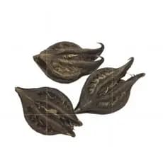 Garra de Exu / Unha de Pomba Gira - Fava Umbanda Candomblé , Fundamento e Assentamento