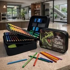 Estojo Box Organizador para escola Grande e Divisórias c/52 espaços Dinossauro
