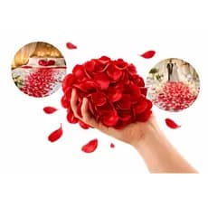2000 Pétalas De Rosas Artificiais Vermelha Casamento Flores 1000 Petalas Noivado Pedido Cerimoneas