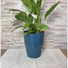 Vaso de Planta Cachepô 29x24 Injetado de Alta Qualidade Moderno Decorativo Luxuoso Sala Jardim Áreas Internas Externa
