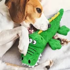 Cachorro De Pelúcia Crocodilo Com Raspador