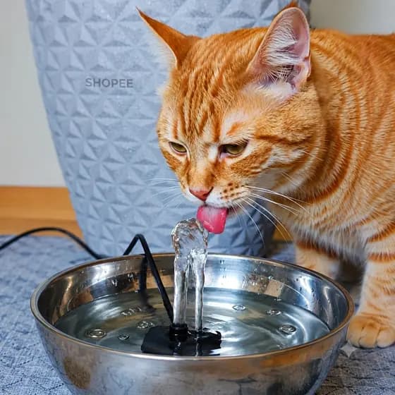 Bomba Submersa para Bebedouro Pet Gato Cachorro Aquario