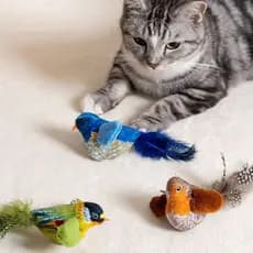 Brinquedo De Gato Simulação Realista Pássaro De Pelúcia Para Gatos E Cães Toque Fonação Física