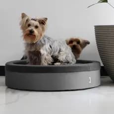 Cama para Cachorro Mediano com Design Minimalista Feito em Tecido Impermeável e Algodão Afelpado
