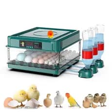 Chocadeira Automática 48 Ovos 110/220V para Galinha Pato Codorna Incubadora de Ovos