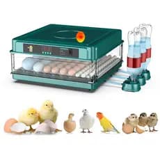 Chocadeira Automática 64 a 72 Ovos 110/220V para Galinha Pato Codorna Incubadora de Ovos
