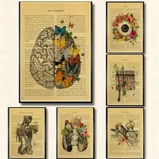Quadro decorativo Anatomia floral coração cérebro órgãos médicos cartaz  decoração, Corpo humano